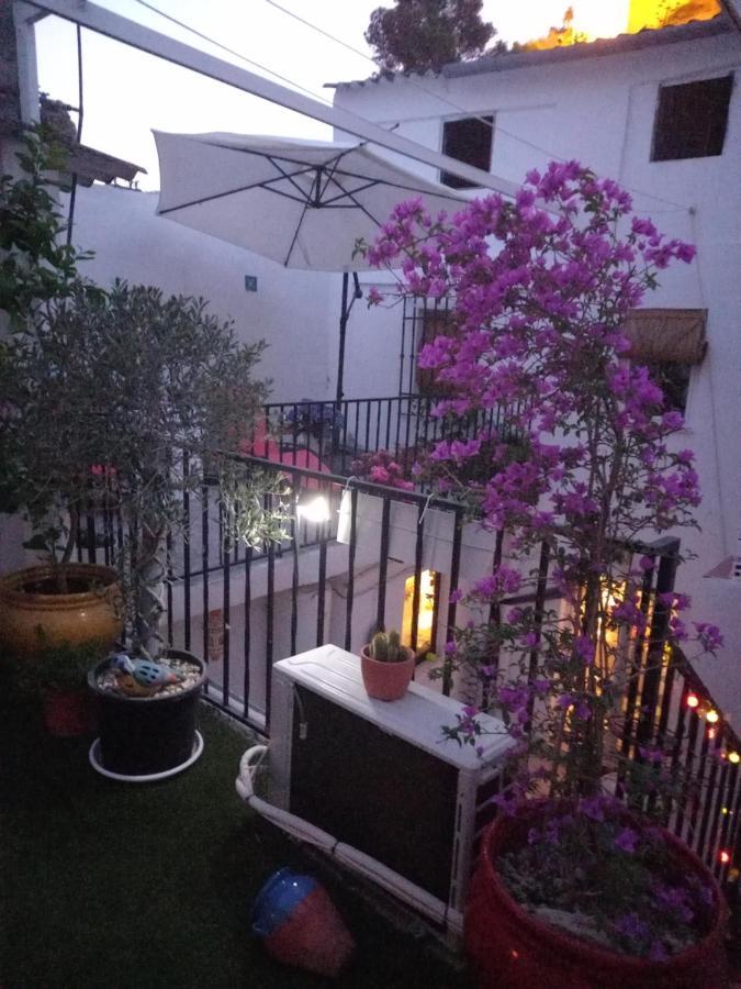 Guesthouse Jazmines Mozarabes # Wifi Баена Екстер'єр фото